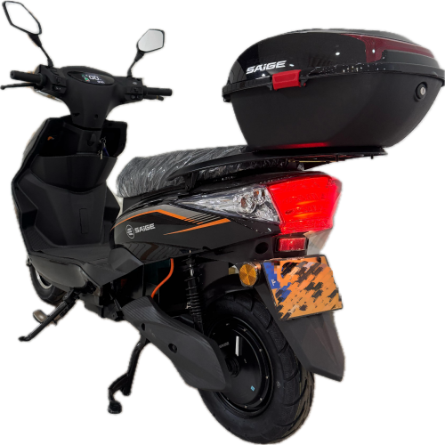 DLN-BLACK-BACK ZG(DLN)